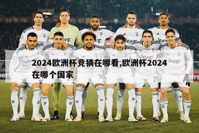 2024欧洲杯竞猜在哪看,欧洲杯2024在哪个国家