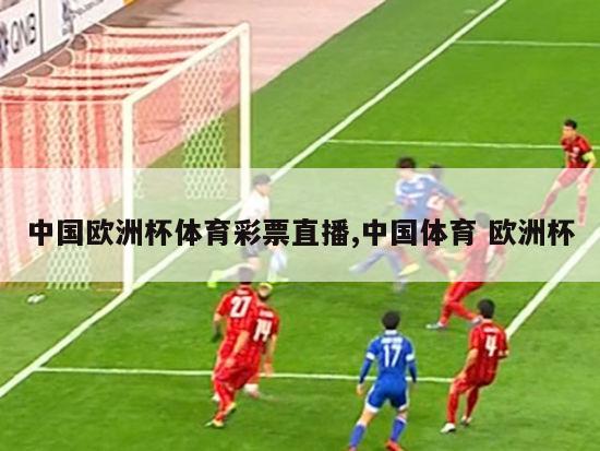 中国欧洲杯体育彩票直播,中国体育 欧洲杯