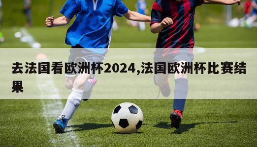 去法国看欧洲杯2024,法国欧洲杯比赛结果