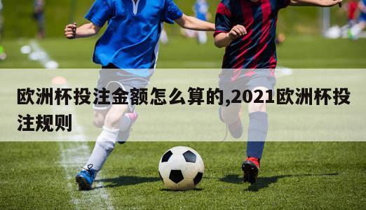 欧洲杯投注金额怎么算的,2021欧洲杯投注规则